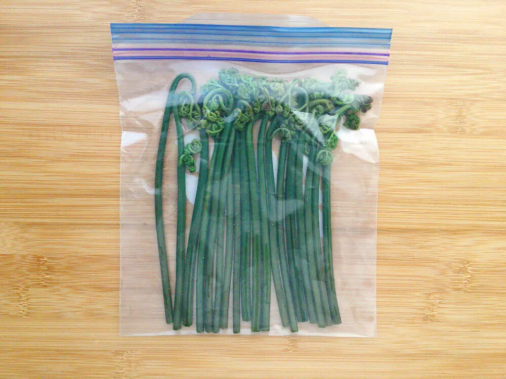 わらびの冷蔵 冷凍保存は正しい あく抜き がポイント 初めてのトライでも大丈夫 Frozen By Analyst Jp